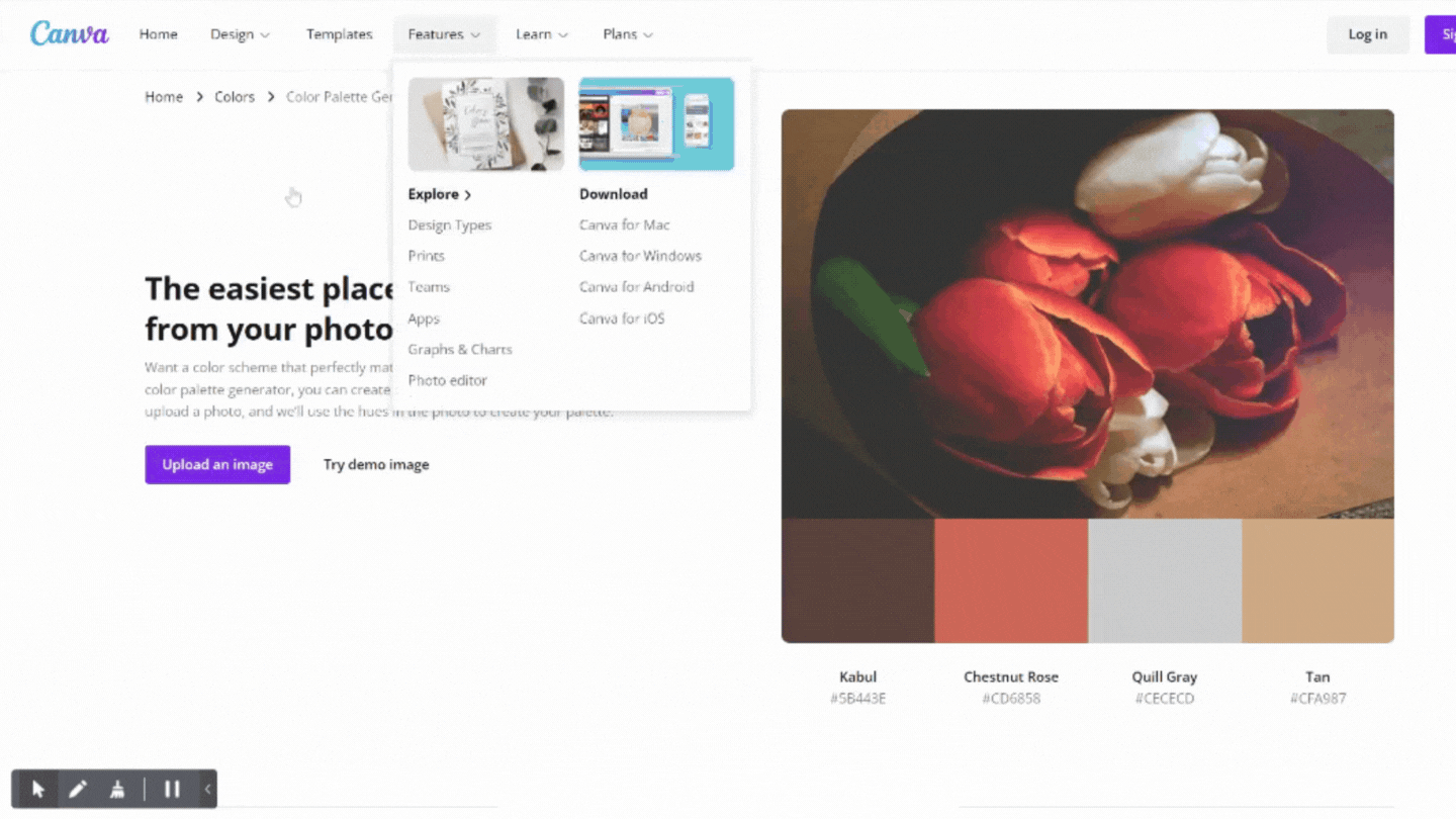 crear paleta de color para web con canva